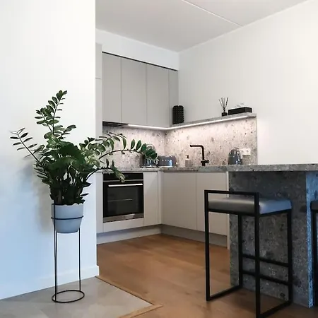 Spacious In Kristiine District! * タリン